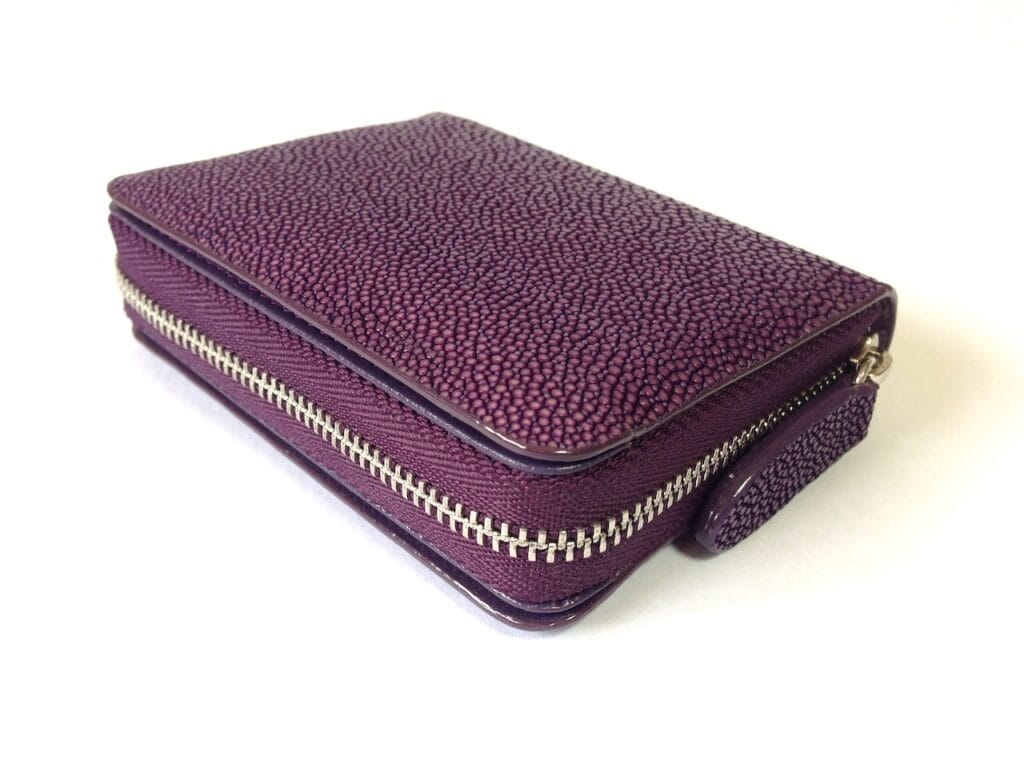 Coin & Card Purse