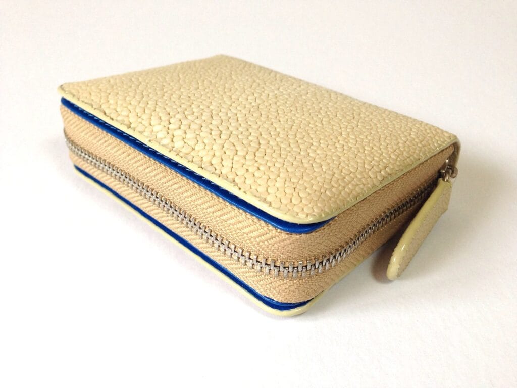Coin & Card Purse