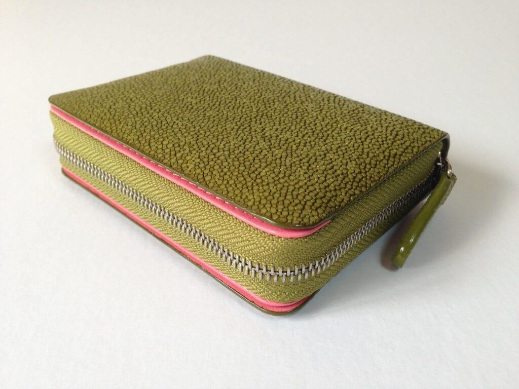Coin & Card Purse
