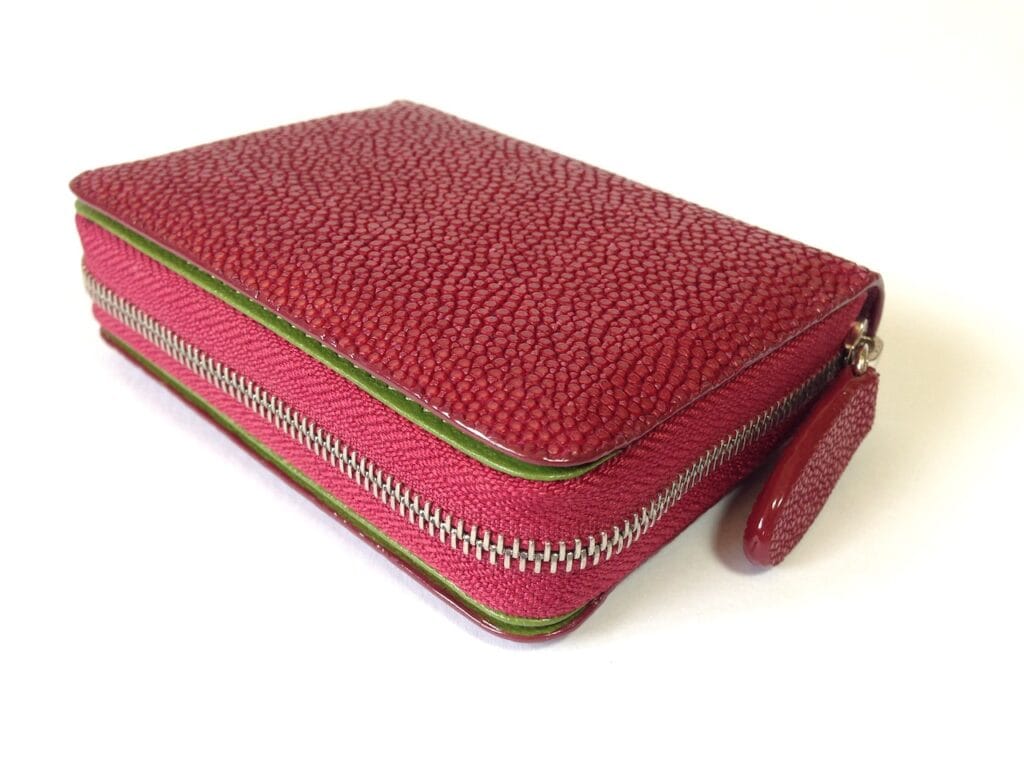 Coin & Card Purse