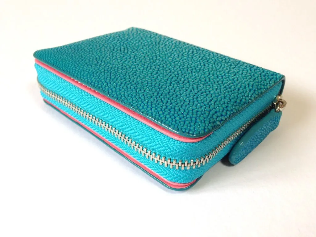 Coin & Card Purse