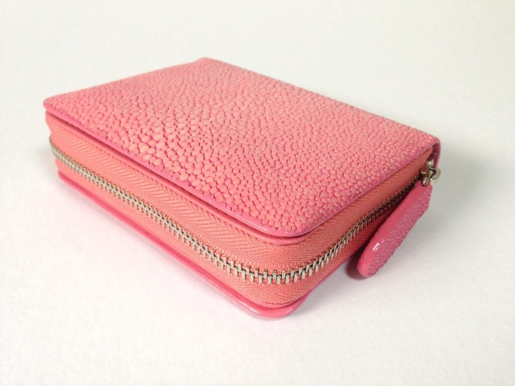 Coin & Card Purse