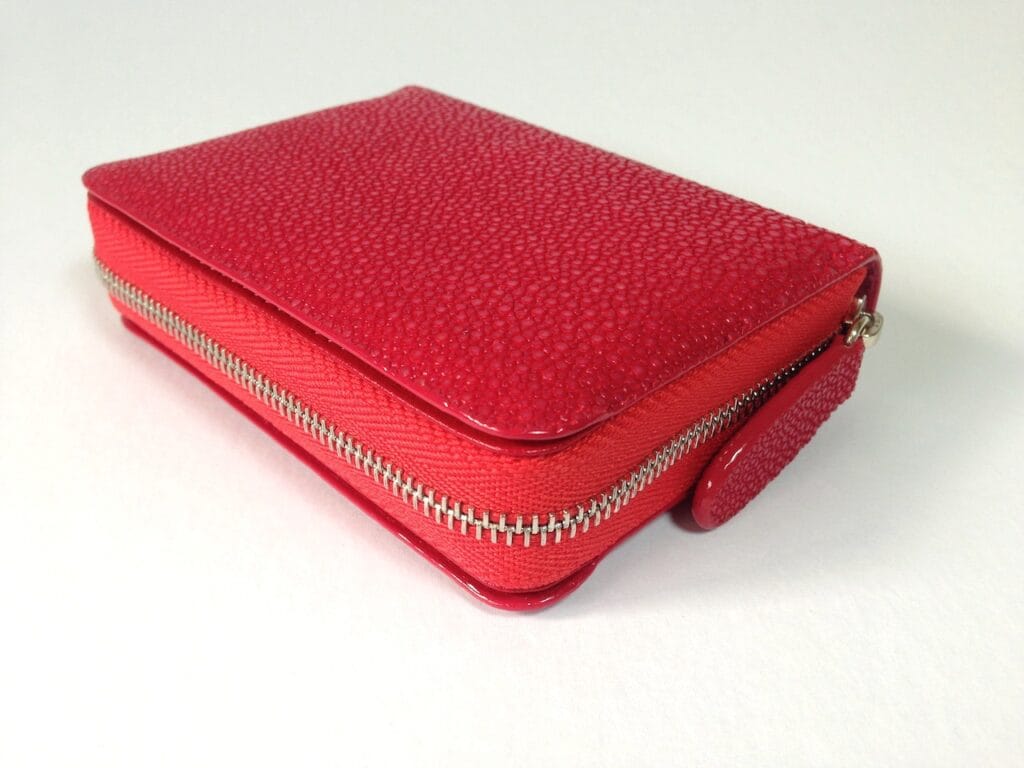 Coin & Card Purse