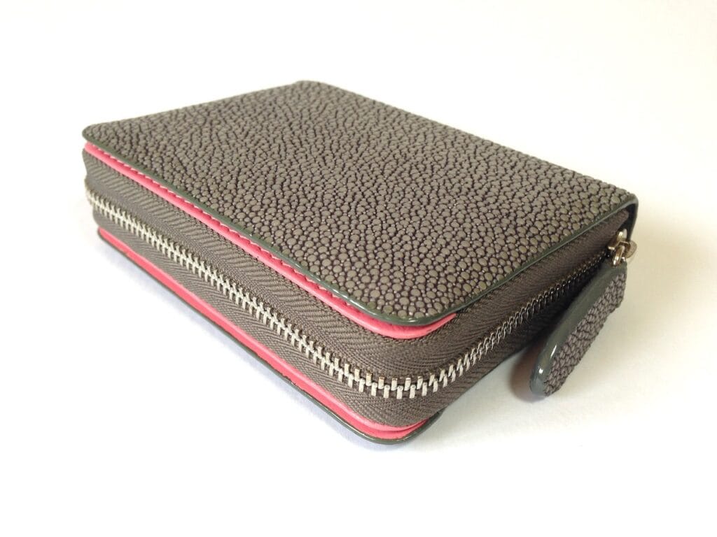Coin & Card Purse