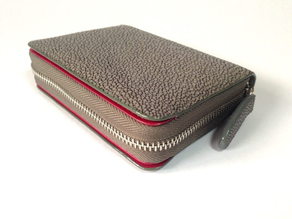 Coin & Card Purse